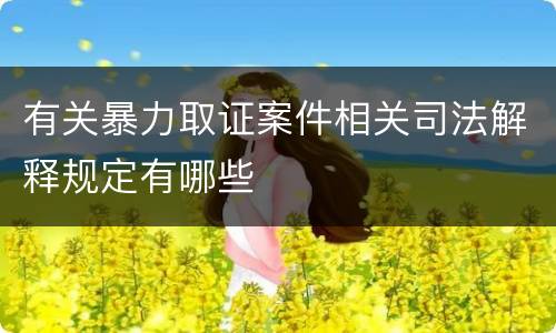 有关暴力取证案件相关司法解释规定有哪些