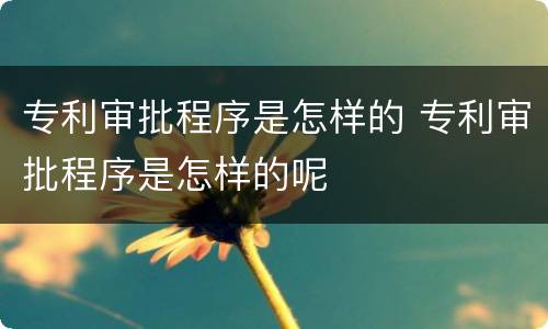 专利审批程序是怎样的 专利审批程序是怎样的呢