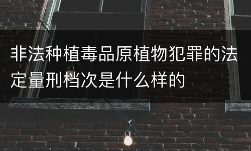 非法种植毒品原植物犯罪的法定量刑档次是什么样的
