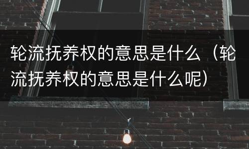 轮流抚养权的意思是什么（轮流抚养权的意思是什么呢）