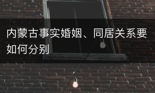 内蒙古事实婚姻、同居关系要如何分别