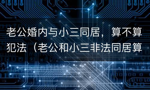 老公婚内与小三同居，算不算犯法（老公和小三非法同居算不算犯法）