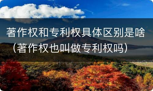 著作权和专利权具体区别是啥（著作权也叫做专利权吗）
