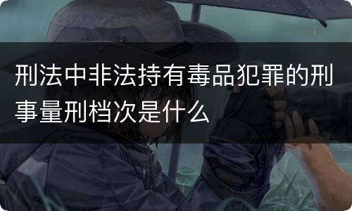 刑法中非法持有毒品犯罪的刑事量刑档次是什么