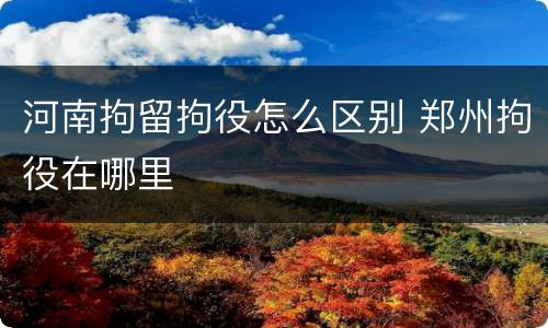 河南拘留拘役怎么区别 郑州拘役在哪里