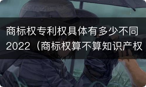 商标权专利权具体有多少不同2022（商标权算不算知识产权）