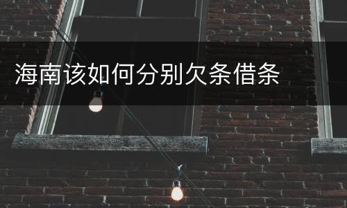 海南该如何分别欠条借条
