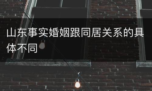 山东事实婚姻跟同居关系的具体不同