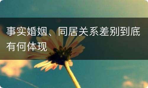 事实婚姻、同居关系差别到底有何体现