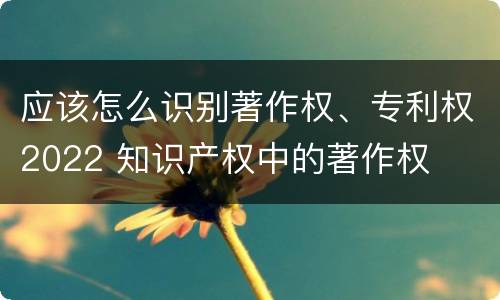 应该怎么识别著作权、专利权2022 知识产权中的著作权