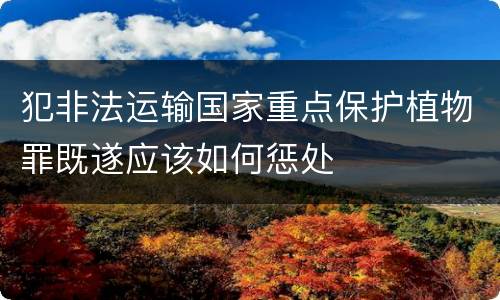 犯非法运输国家重点保护植物罪既遂应该如何惩处