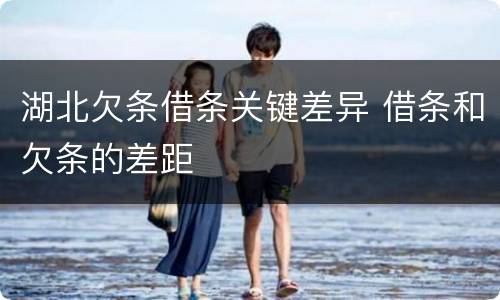 湖北欠条借条关键差异 借条和欠条的差距