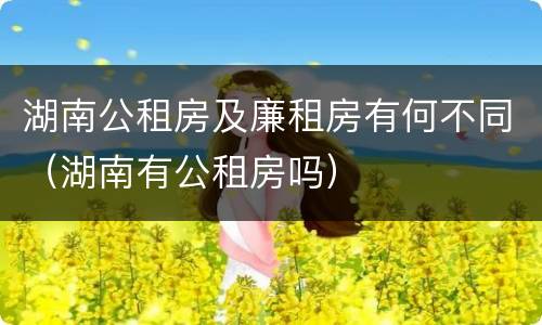 湖南公租房及廉租房有何不同（湖南有公租房吗）