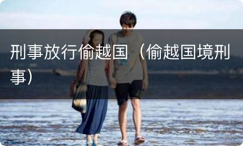 刑事放行偷越国（偷越国境刑事）