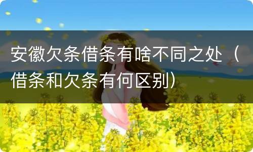 安徽欠条借条有啥不同之处（借条和欠条有何区别）