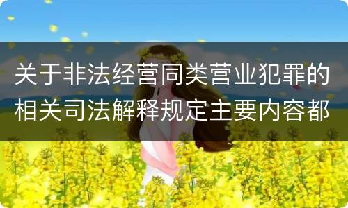 关于非法经营同类营业犯罪的相关司法解释规定主要内容都有哪些