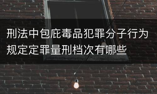 刑法中包庇毒品犯罪分子行为规定定罪量刑档次有哪些