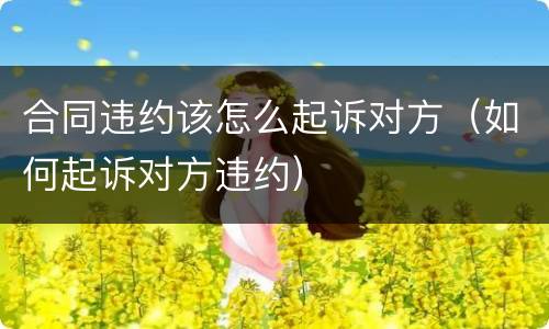 合同违约该怎么起诉对方（如何起诉对方违约）