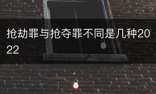 抢劫罪与抢夺罪不同是几种2022