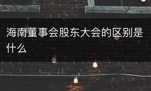 海南董事会股东大会的区别是什么