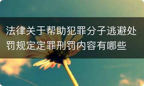 法律关于帮助犯罪分子逃避处罚规定定罪刑罚内容有哪些