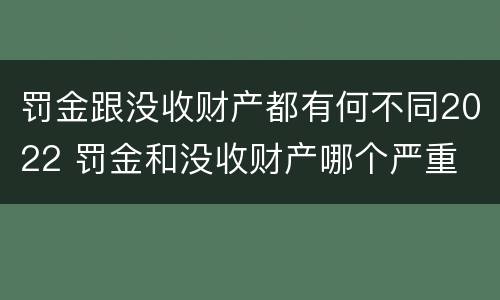 罚金跟没收财产都有何不同2022 罚金和没收财产哪个严重