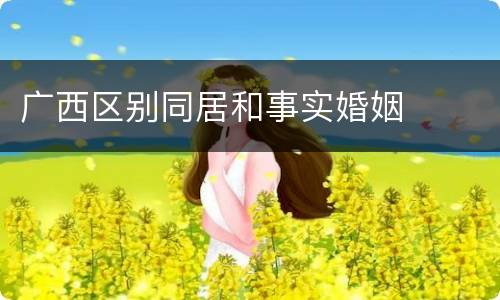 广西区别同居和事实婚姻