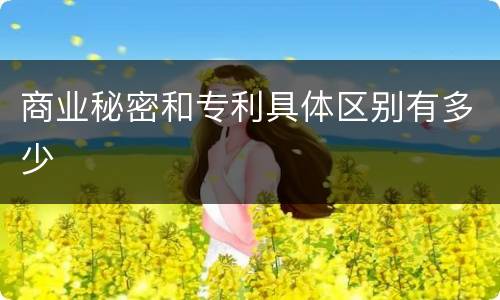 商业秘密和专利具体区别有多少