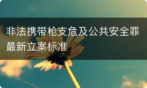 非法携带枪支危及公共安全罪最新立案标准