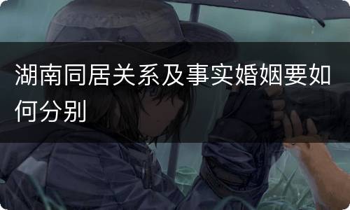 湖南同居关系及事实婚姻要如何分别