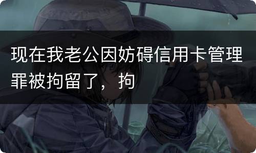 现在我老公因妨碍信用卡管理罪被拘留了，拘