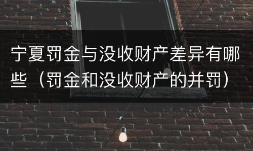 宁夏罚金与没收财产差异有哪些（罚金和没收财产的并罚）