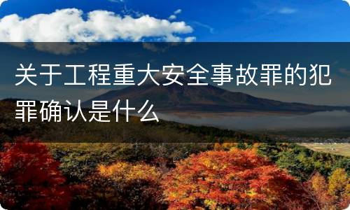 关于工程重大安全事故罪的犯罪确认是什么