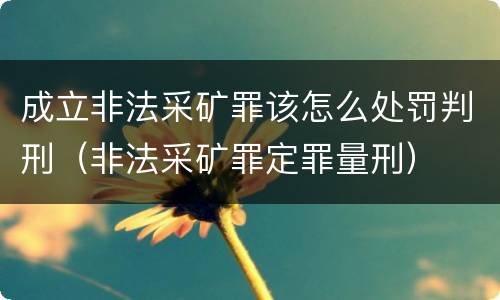 成立非法采矿罪该怎么处罚判刑（非法采矿罪定罪量刑）
