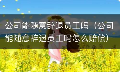 公司能随意辞退员工吗（公司能随意辞退员工吗怎么赔偿）
