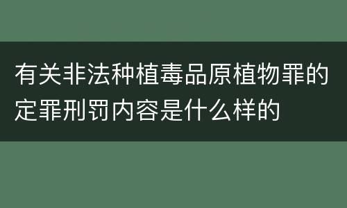 有关非法种植毒品原植物罪的定罪刑罚内容是什么样的