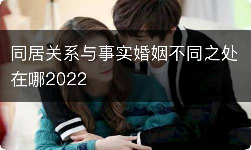同居关系与事实婚姻不同之处在哪2022