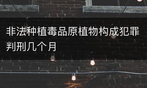 非法种植毒品原植物构成犯罪判刑几个月