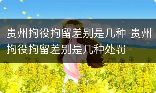 贵州拘役拘留差别是几种 贵州拘役拘留差别是几种处罚