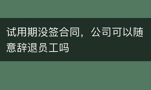 试用期没签合同，公司可以随意辞退员工吗