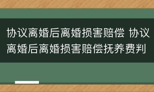 协议离婚后离婚损害赔偿 协议离婚后离婚损害赔偿抚养费判决书