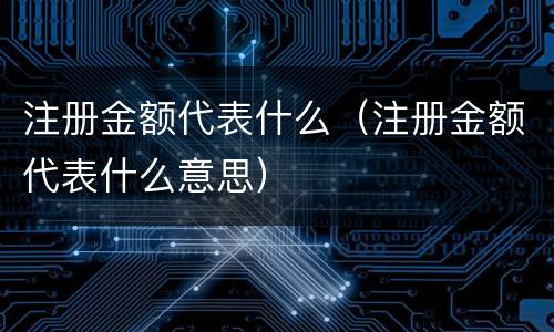 注册金额代表什么（注册金额代表什么意思）