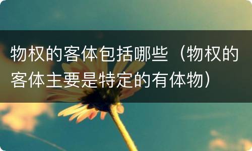 物权的客体包括哪些（物权的客体主要是特定的有体物）