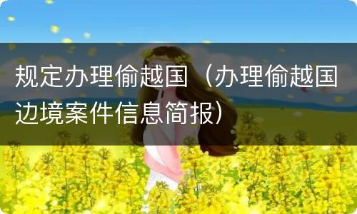 规定办理偷越国（办理偷越国边境案件信息简报）