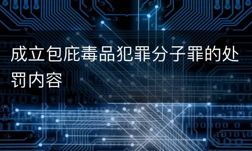 成立包庇毒品犯罪分子罪的处罚内容