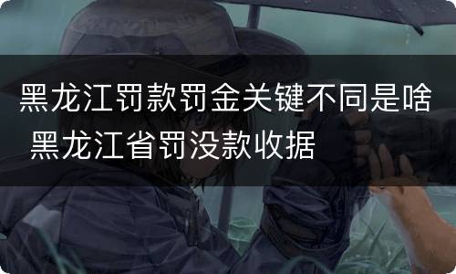 黑龙江罚款罚金关键不同是啥 黑龙江省罚没款收据