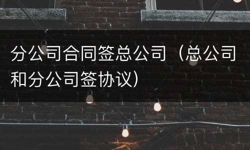 分公司合同签总公司（总公司和分公司签协议）