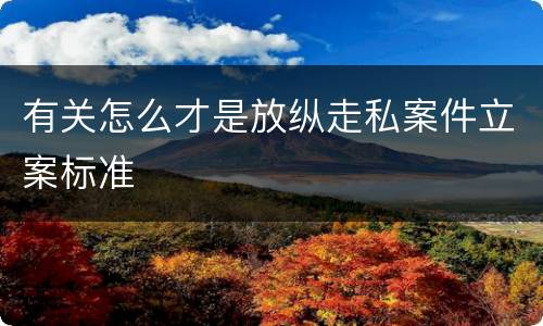 有关怎么才是放纵走私案件立案标准