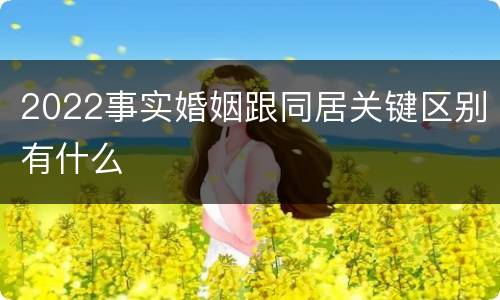 2022事实婚姻跟同居关键区别有什么