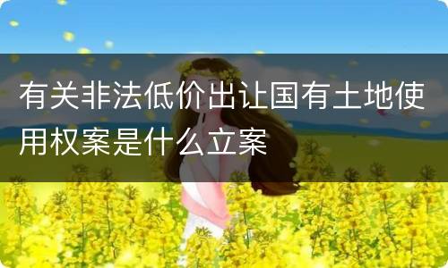 有关非法低价出让国有土地使用权案是什么立案